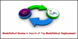 Modafinilcat Review in Search of Top Modafinilcat Replacement